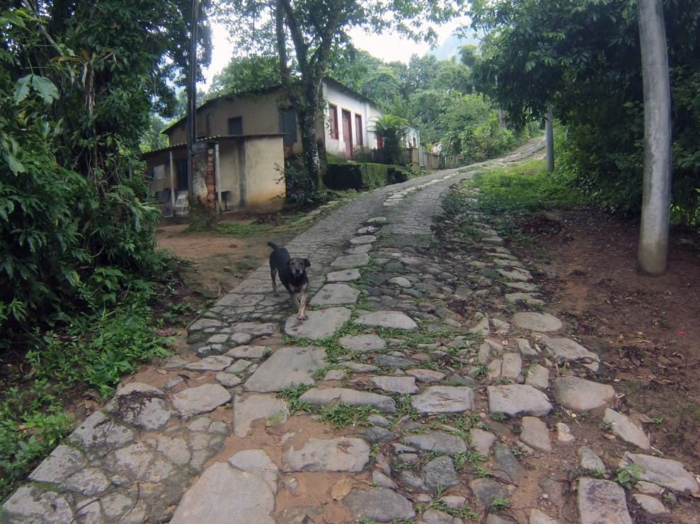 Caminho do Ouro - foto 3