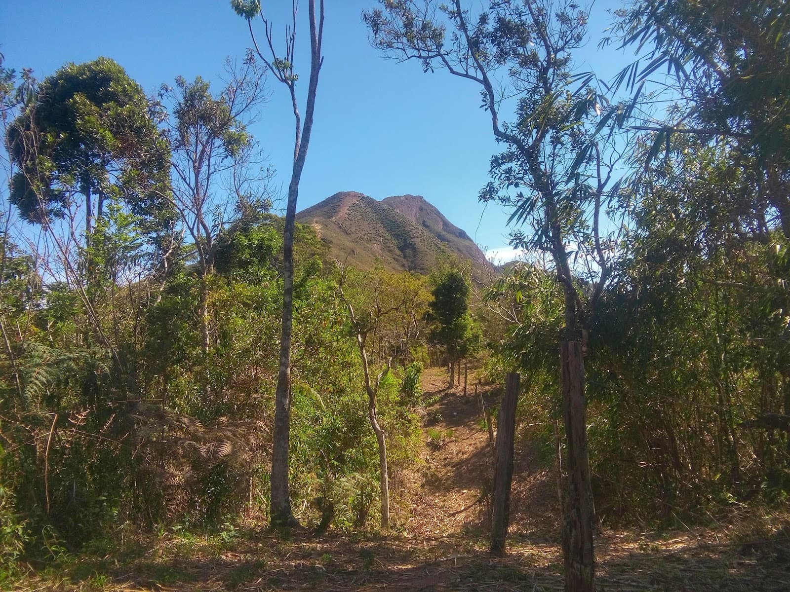 Seio de Vênus (Carangola) - foto 2