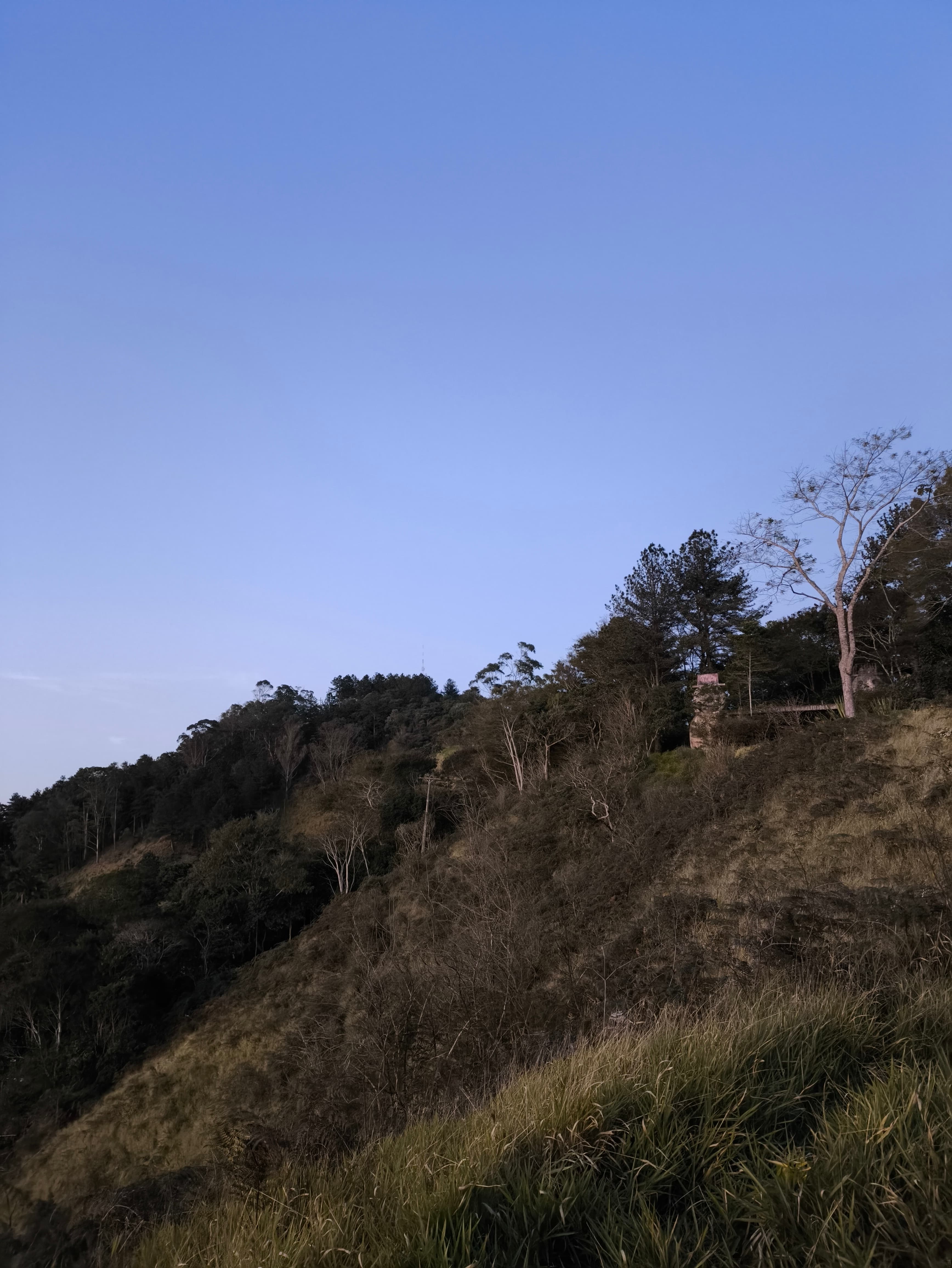 Torre do Floresta (via Pista de Esqui) - foto 4